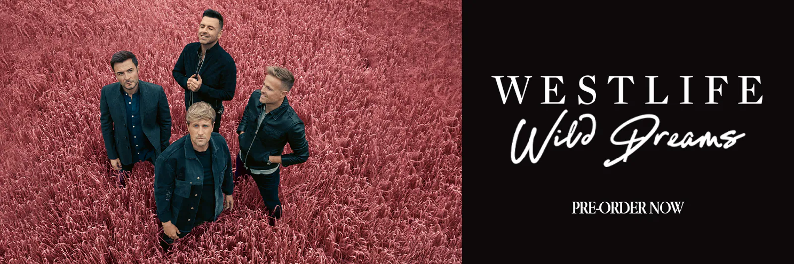 Uptown Girl của Westlife – Hành trình ký ức tươi sáng và cảm xúc tuổi thơ